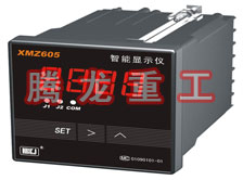 溫度表、數(shù)字顯示儀、濕度表