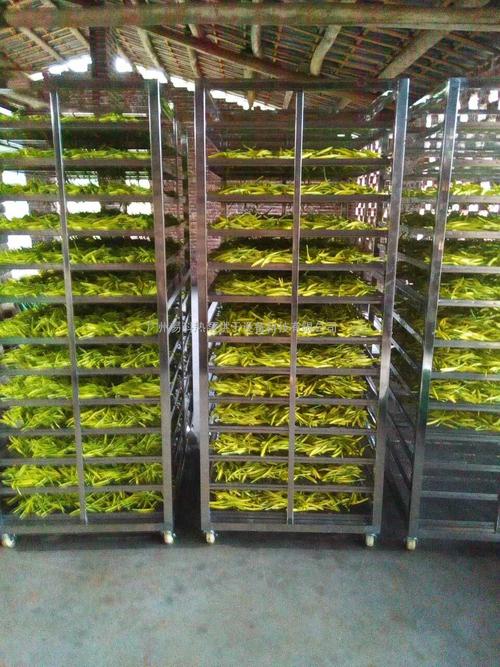 黃花菜烘干機(jī)、黃花菜烘干設(shè)備、黃花菜干燥機(jī)、黃花菜干燥設(shè)備、
